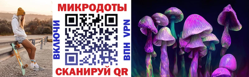 Купить закладки  Бабаево  Галлюциногенные грибы Magic Shrooms 
