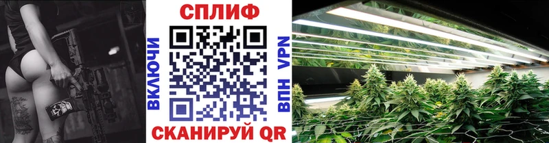 Бошки марихуана индика  Купить закладки  Бабаево 